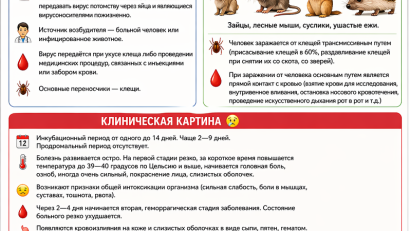 Крымская-Конго геморрагическая лихорадка