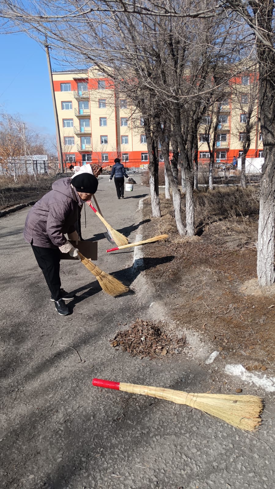 IMG-20250323-WA0003.jpg