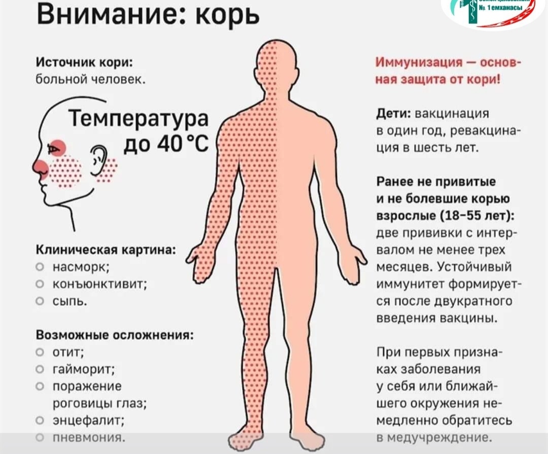 IMG 20231127 122735